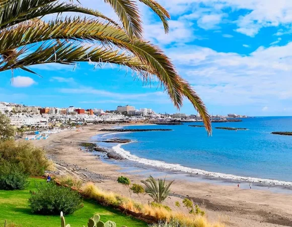 Playas del Sur