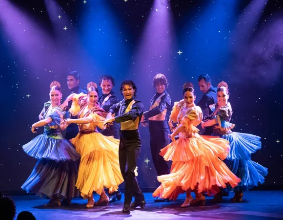 Olé Flamenco Show