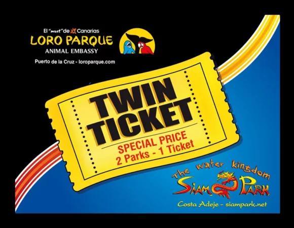 Twin Ticket