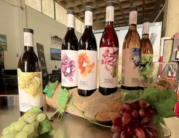 Tenerife Wine and Taste